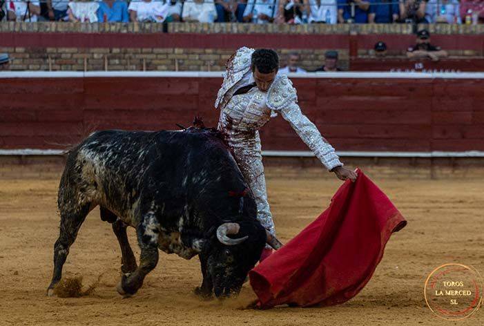 David de Miranda y “Barba Verde” de José Luis Pereda, ‘Triunfadores’ de la XXXI edición de los premios ‘El Cabezo’